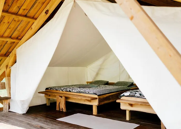 Adrenaline Check Camping
