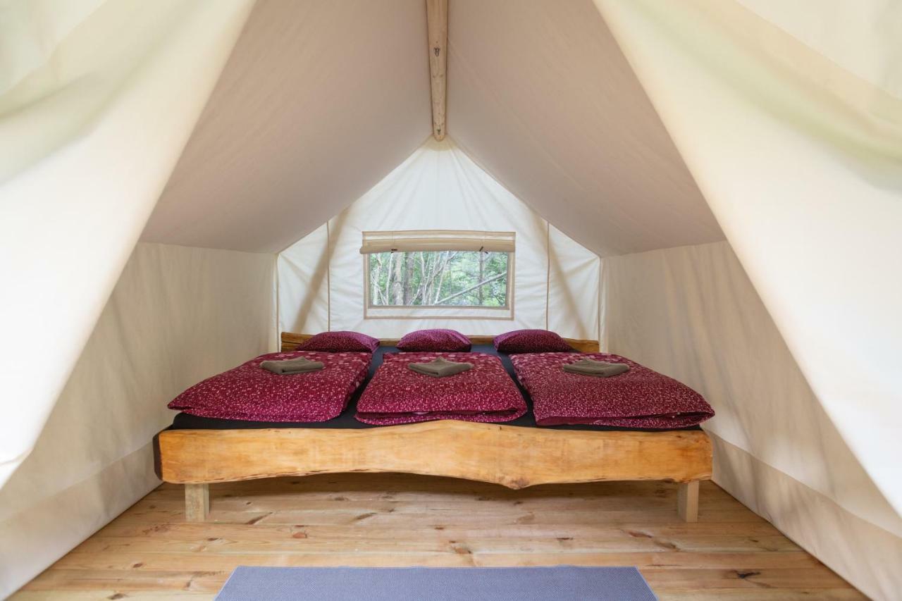 Adrenaline Check Camping *