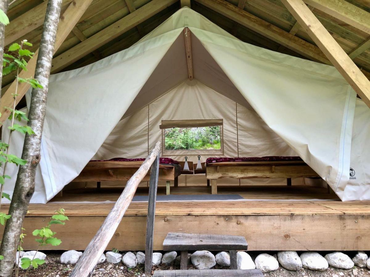 Campsite Adrenaline Check